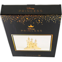 Cinderella's Illuminated Castle